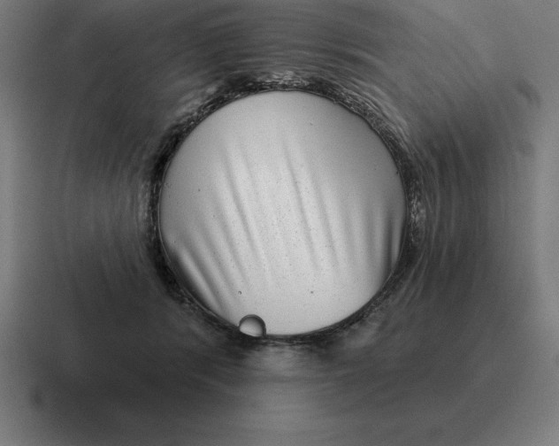 X0000116810416200912311959