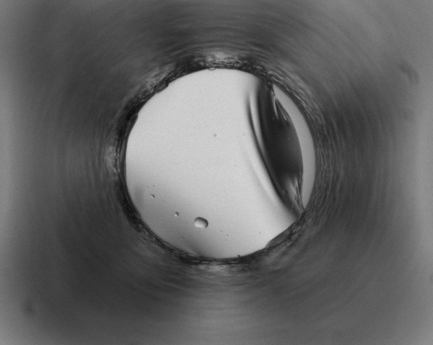 X0000116810419200912311959