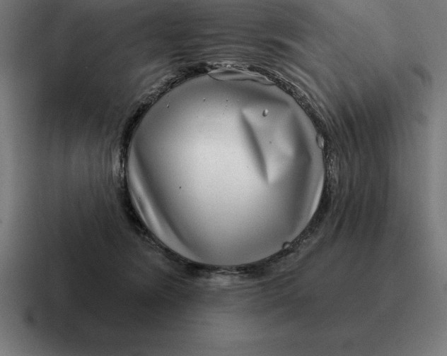 X0000116810420200912311959