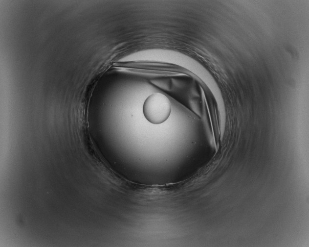 X0000116810421200912311959