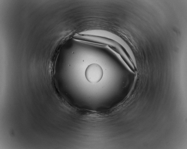 X0000116810423200912311959