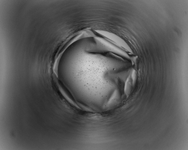 X0000116810424200912311959