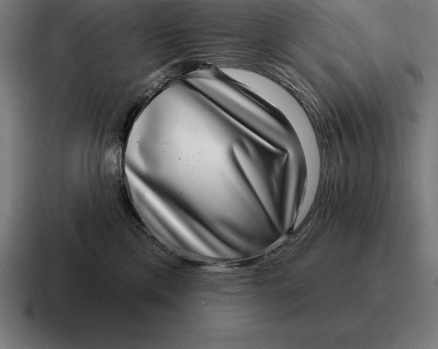 X0000116810425200912311959