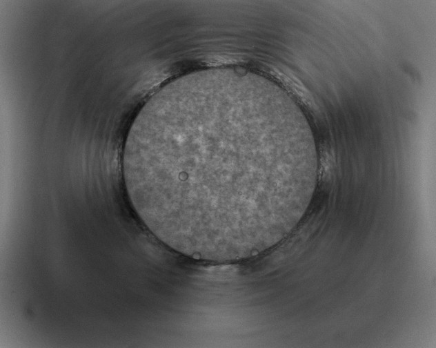 X0000116810426200912311959