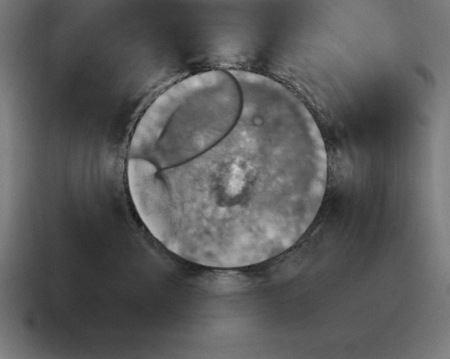 X0000116810427200912311959