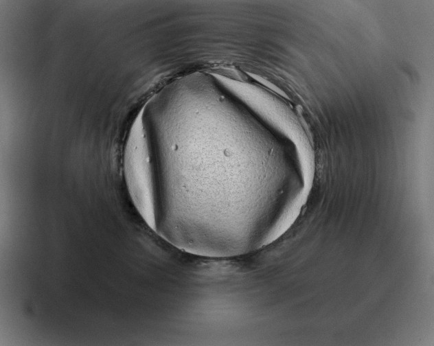 X0000116810428200912311959