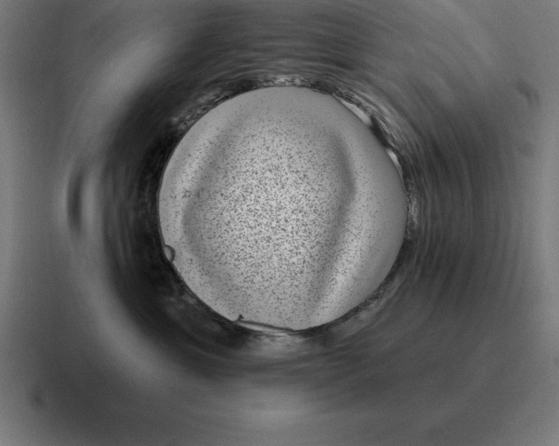 X0000116810429200912311959