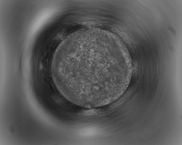 X0000116810430200912311959