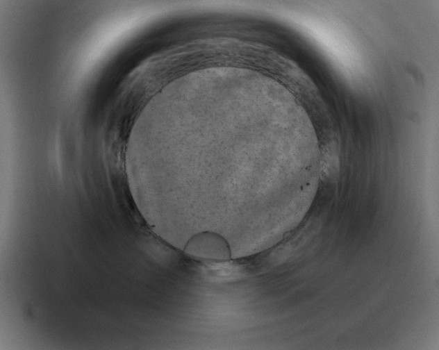 X0000116810431200912311959