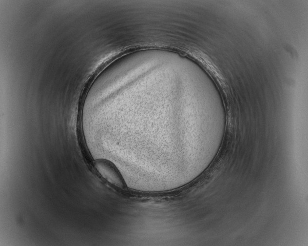 X0000116810434200912311959