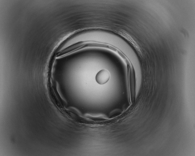 X0000116810436200912311959