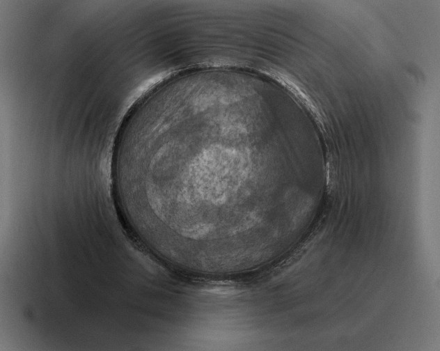 X0000116810438200912311959