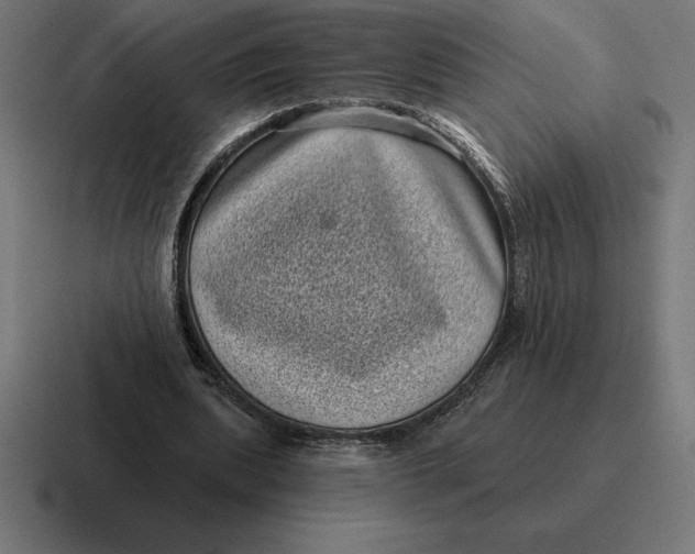 X0000116810439200912311959