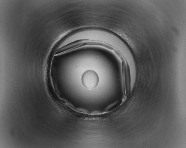 X0000116810440200912311959