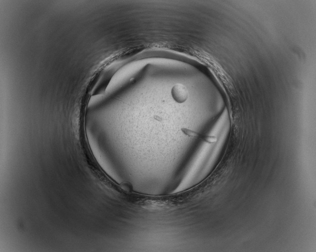 X0000116810442200912311959