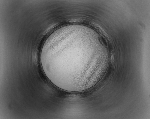 X0000116810444200912311959