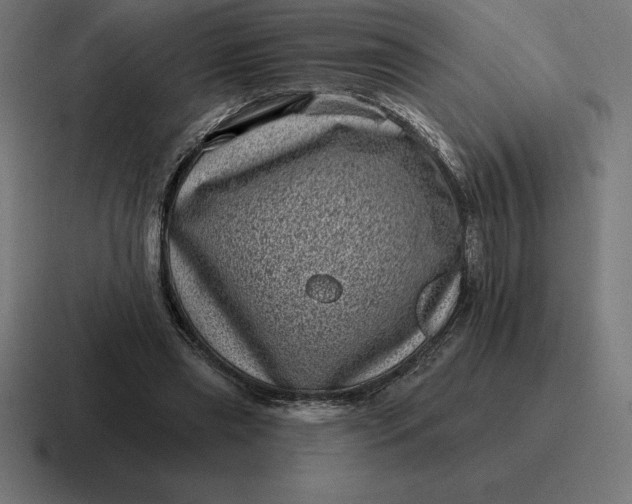 X0000116810445200912311959