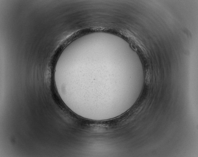 X0000116810448200912311959