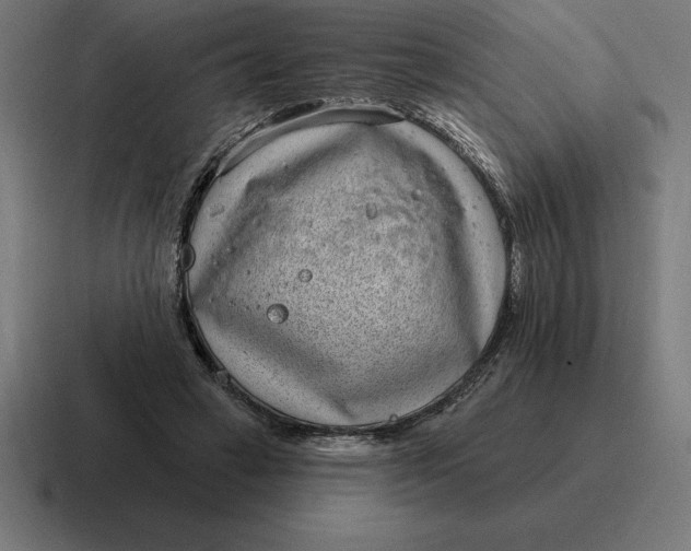 X0000116810449200912311959