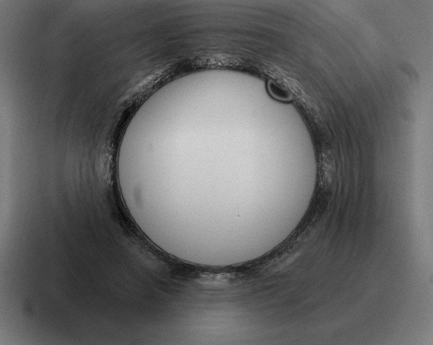 X0000116810450200912311959