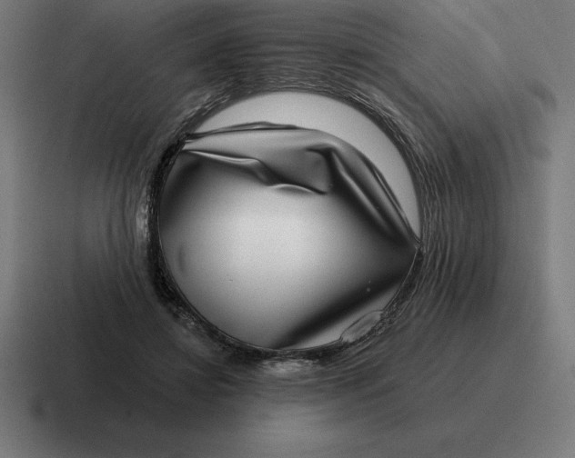 X0000116810452200912311959