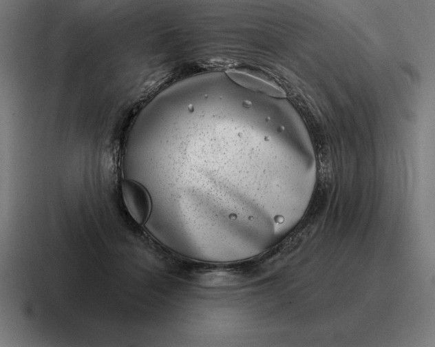 X0000116810460200912311959