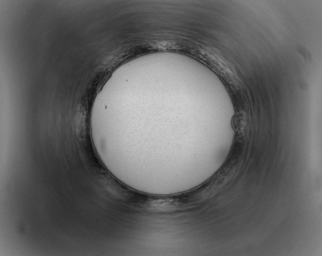 X0000116810461200912311959