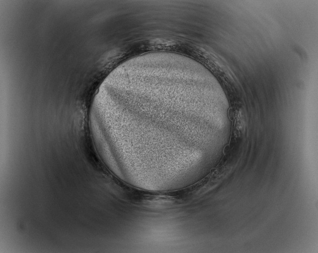 X0000116810463200912311959