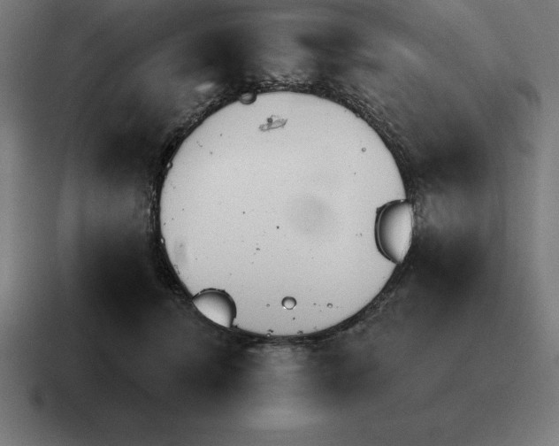 X0000116810464200912311959