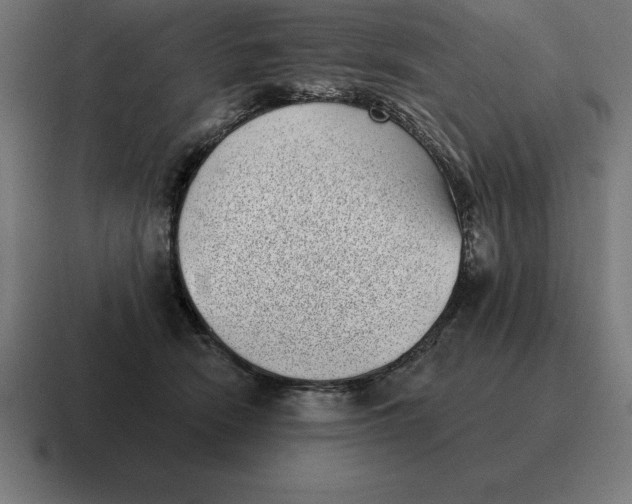 X0000116810466200912311959