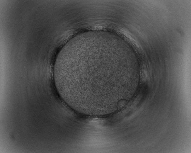 X0000116810467200912311959