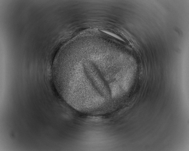 X0000116810469200912311959