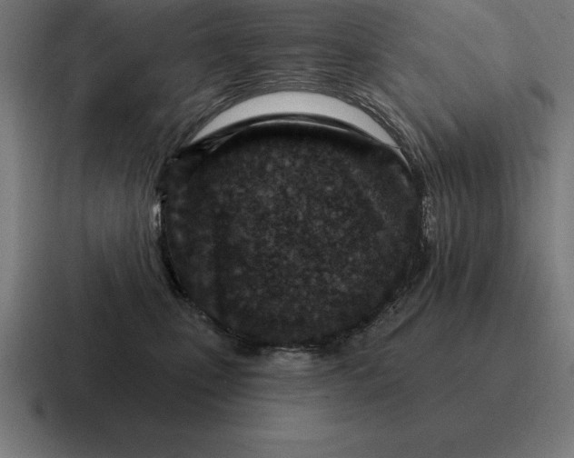 X0000116810471200912311959