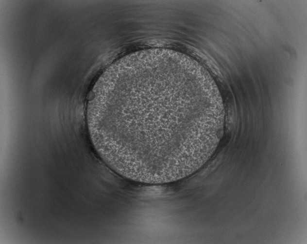 X0000116810473200912311959