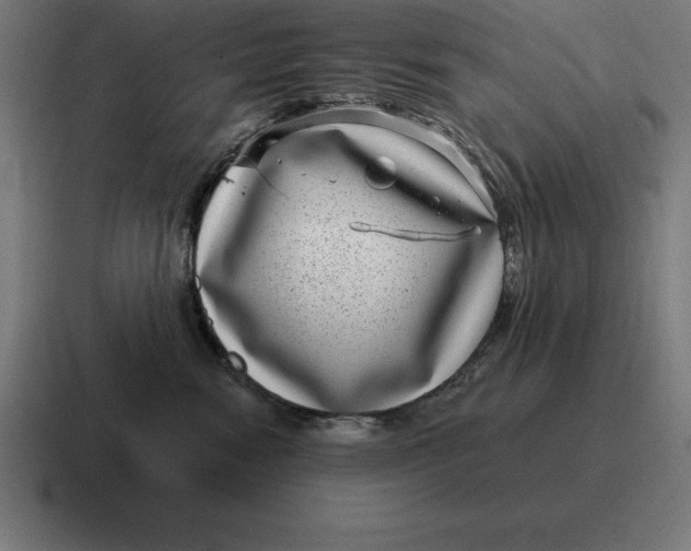 X0000116810474200912311959