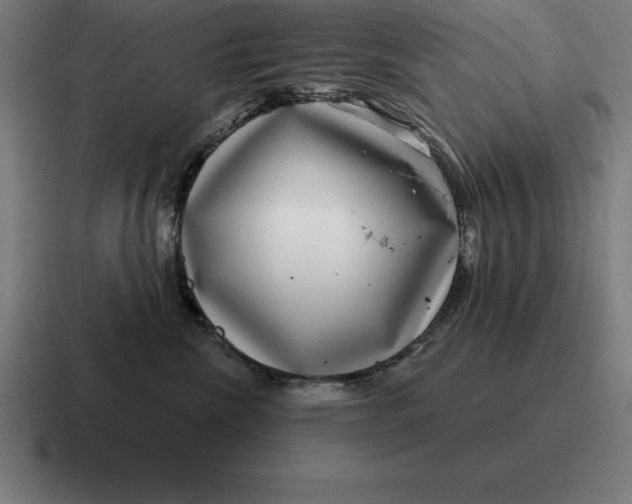 X0000116810476200912311959