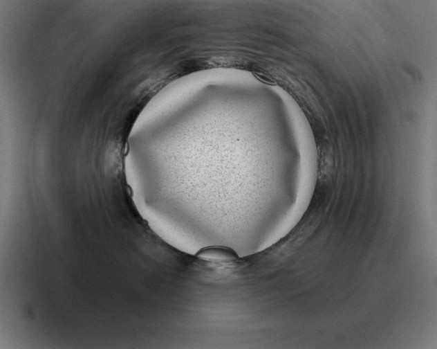 X0000116810478200912311959