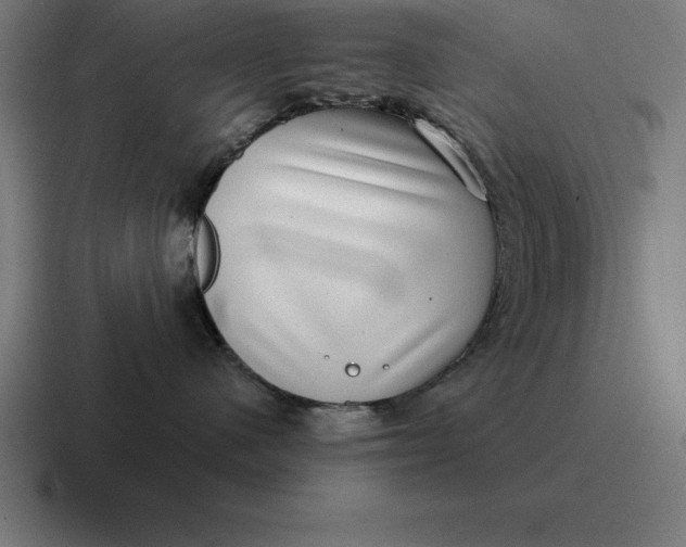 X0000116810480200912311959