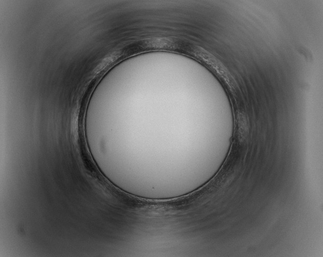 X0000116810482200912311959