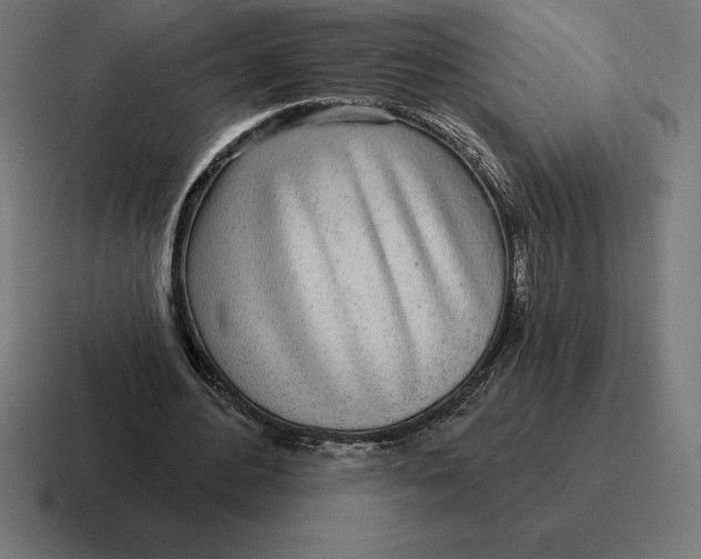 X0000116810484200912311959