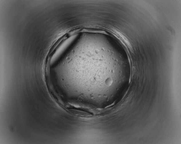 X0000116810485200912311959