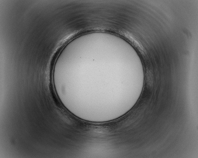 X0000116810486200912311959