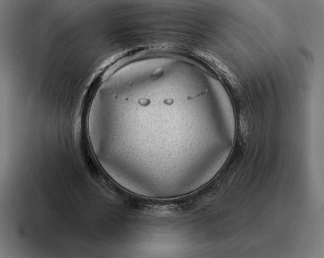 X0000116810488200912311959