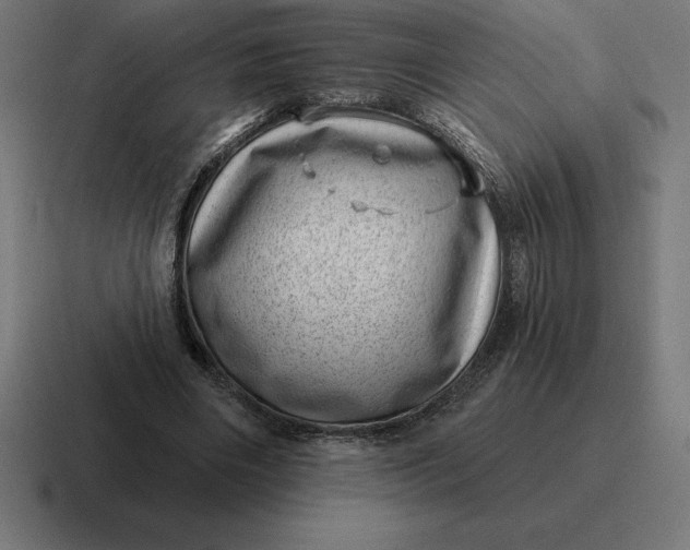 X0000116810490200912311958