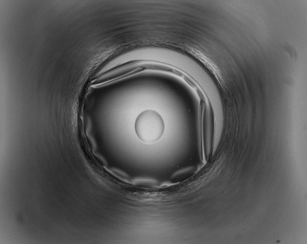 X0000116810493200912311958