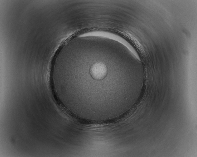 X0000116810496200912311958