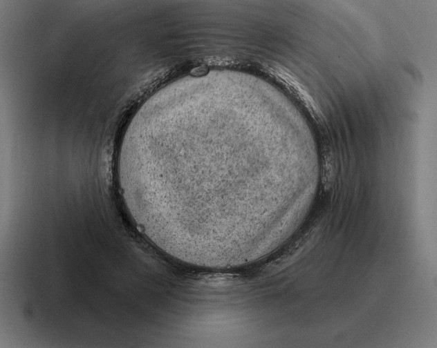 X0000116810497200912311958