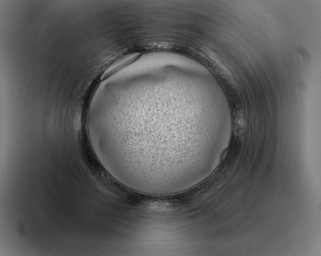 X0000116810500200912311958