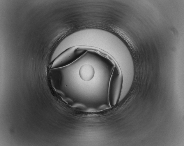 X0000116810501200912311958