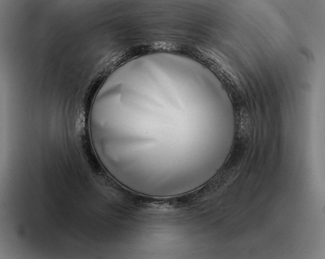 X0000116810502200912311958